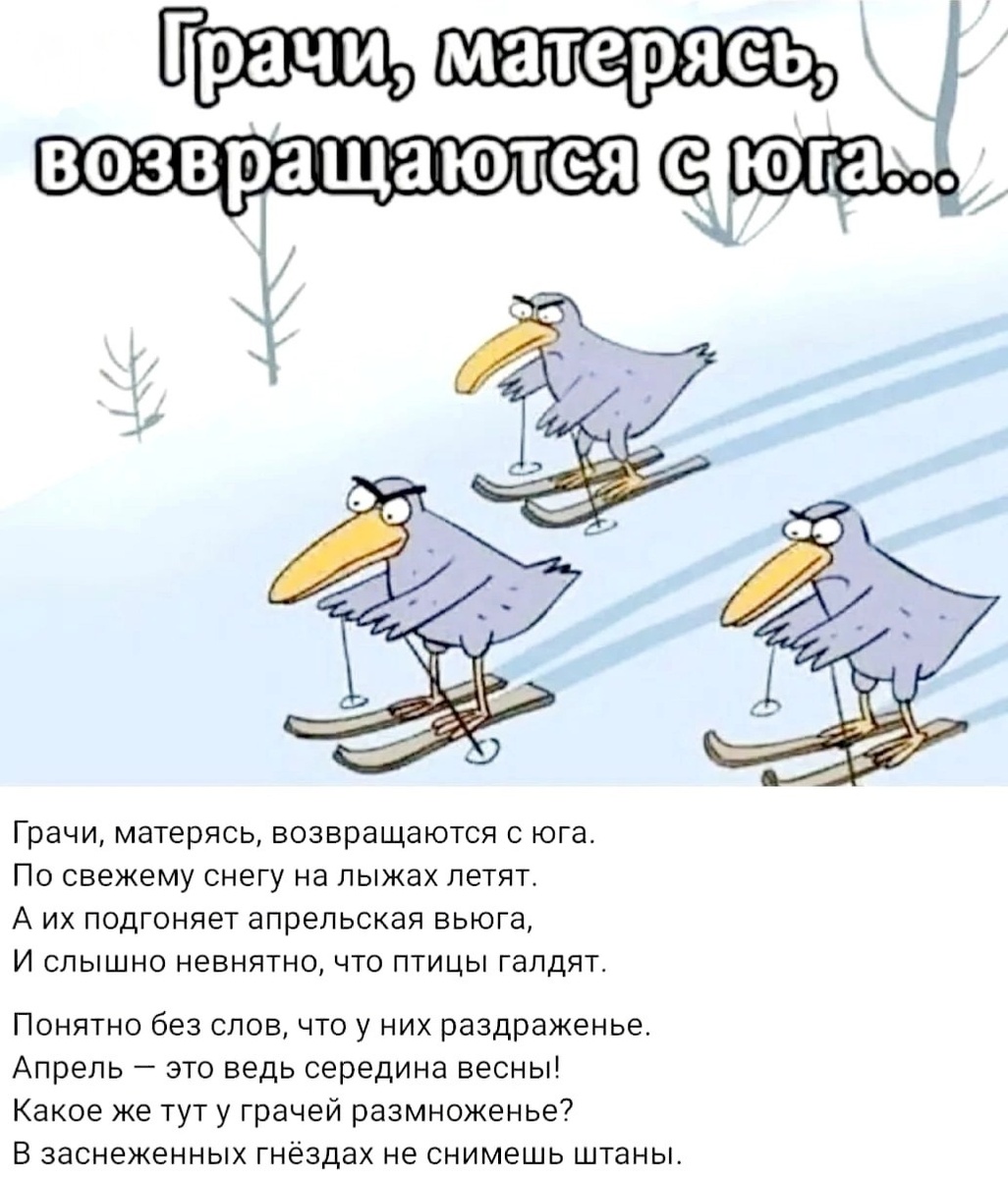 Картинка комментария