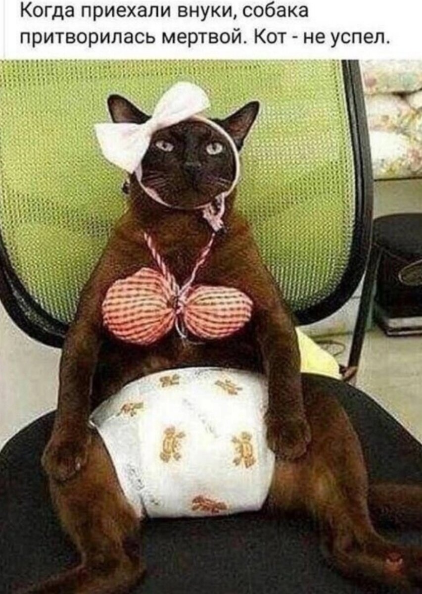 Картинка комментария