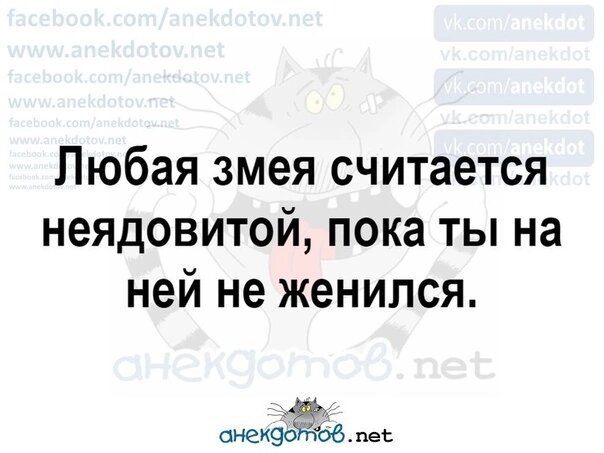 Картинка комментария