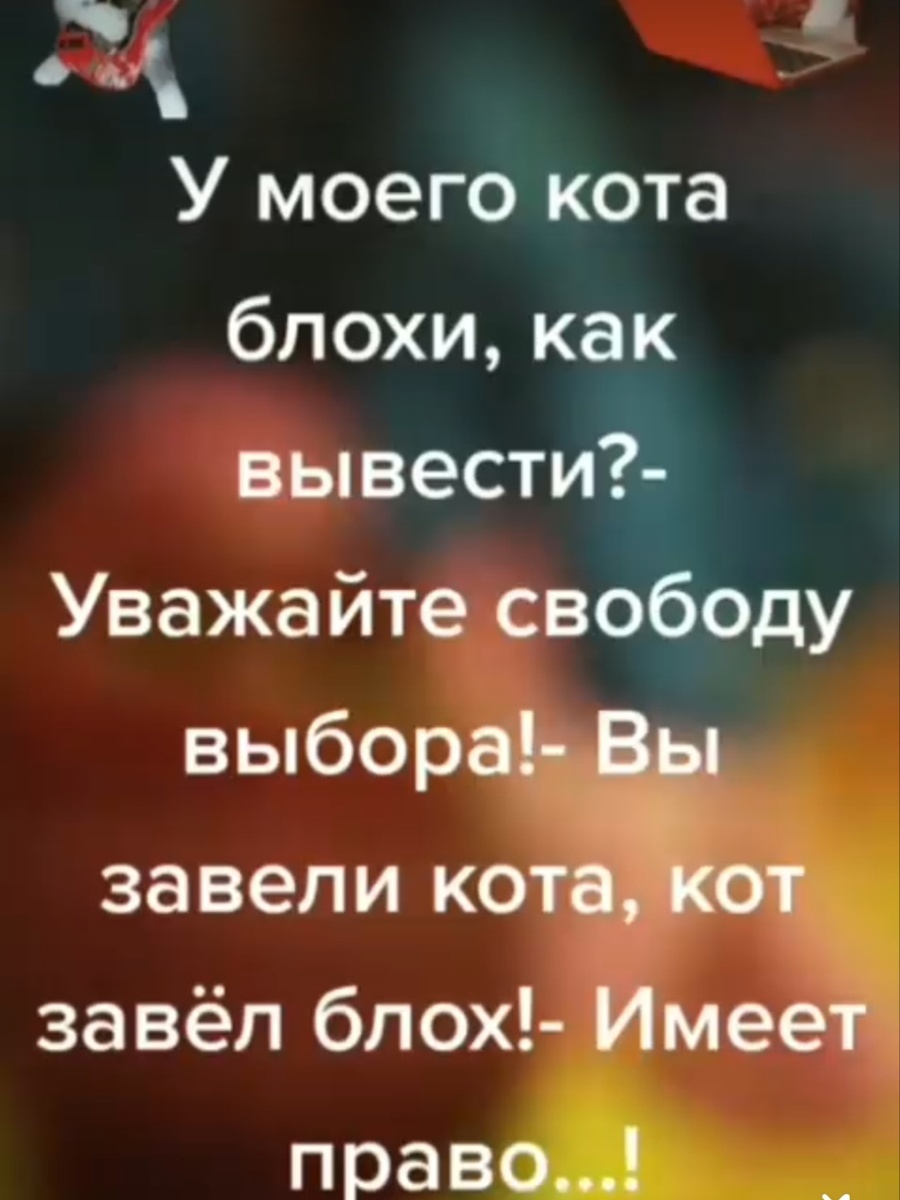 Картинка комментария