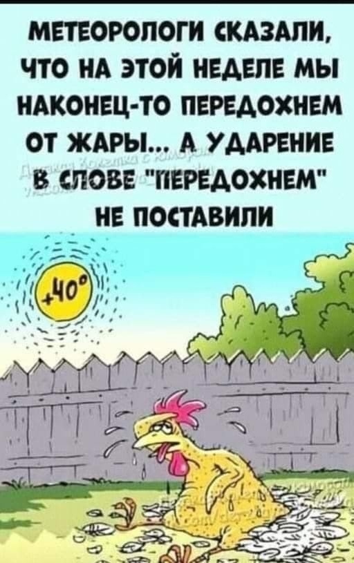 Картинка комментария