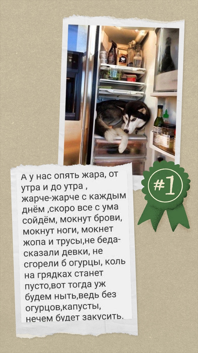 Картинка комментария