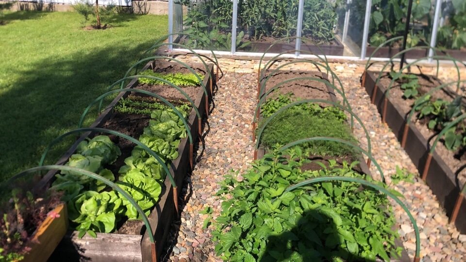 Картинка комментария