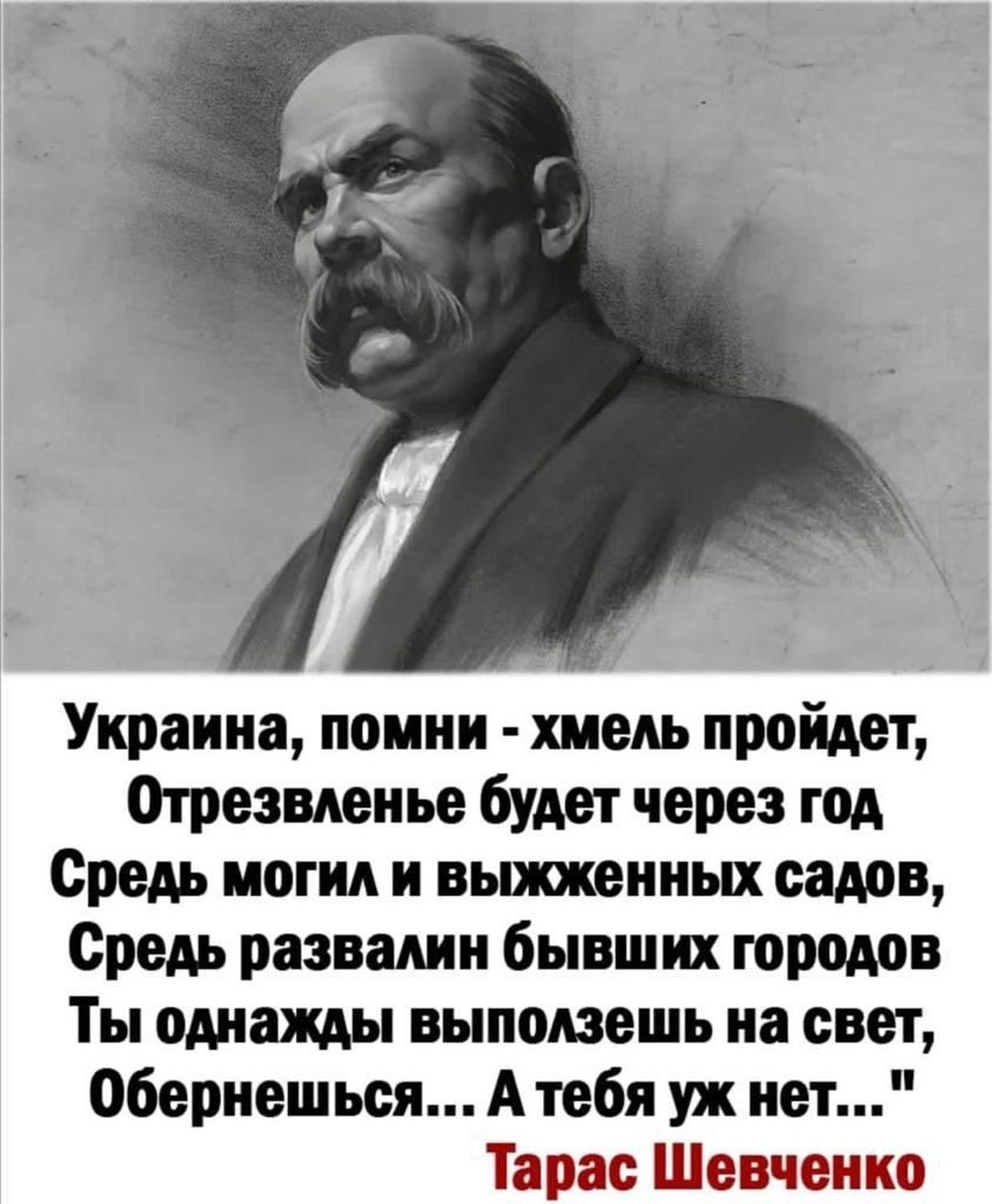 Стихи шевченко об украинцах. Украина Помни Хмель пройдёт.