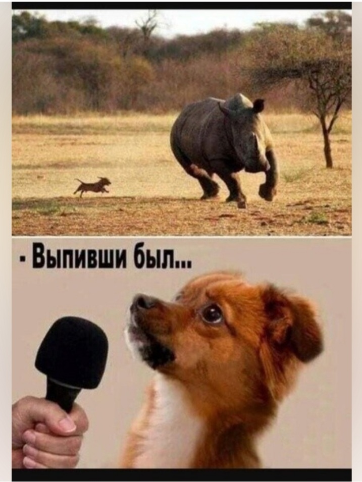 Посмеялся сам - поделись с другом!!!