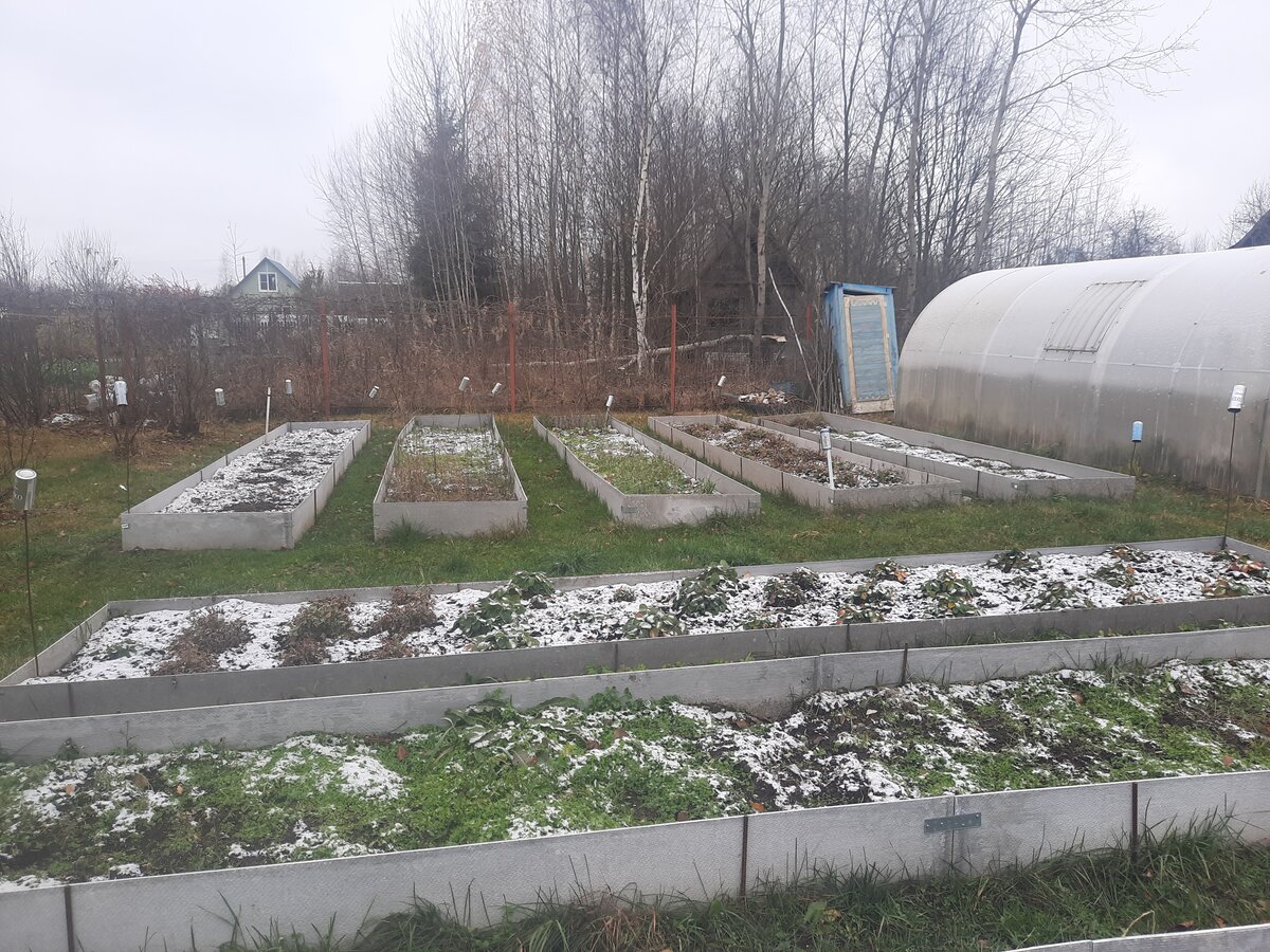 Картинка комментария