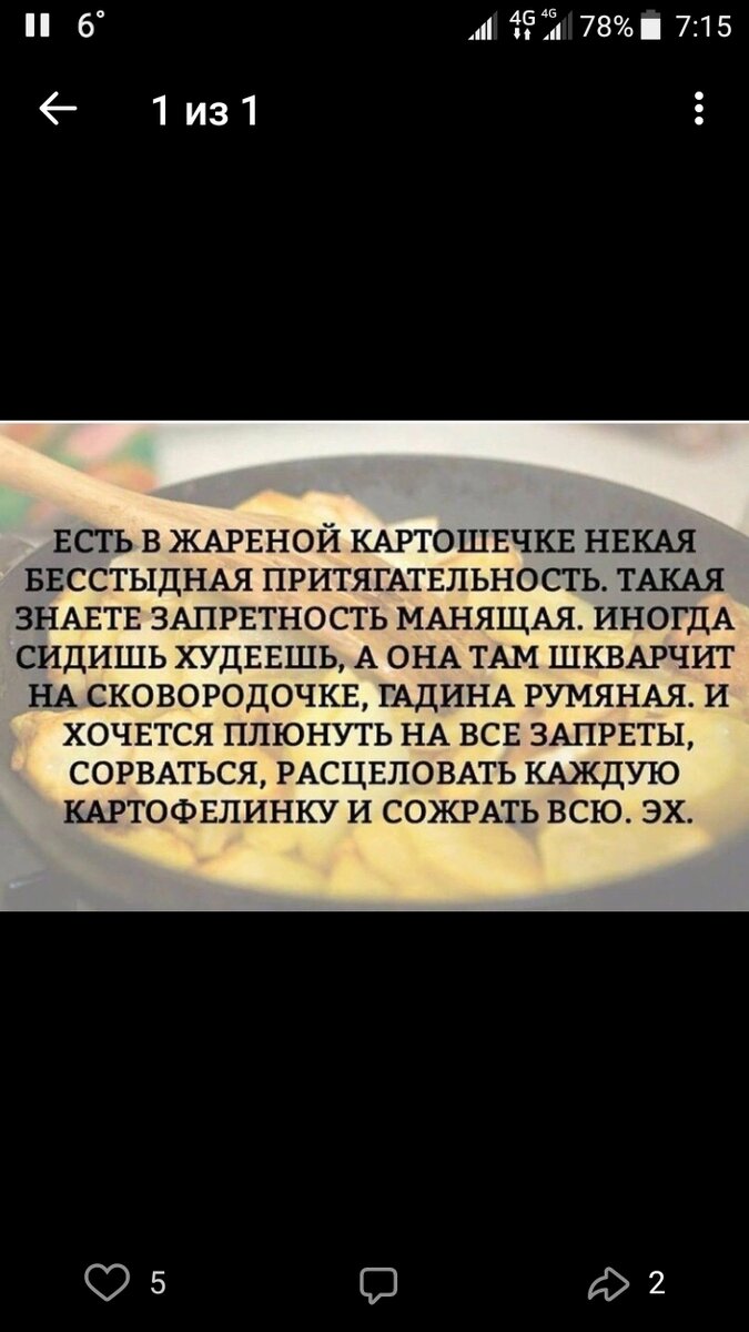 �������� �����������