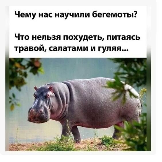 Картинка комментария